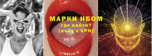 прущие грибы Алексеевка