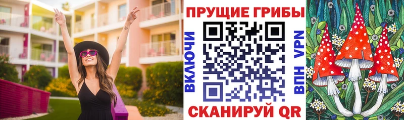 blacksprut вход  Дыгулыбгей  Псилоцибиновые грибы Magic Shrooms 